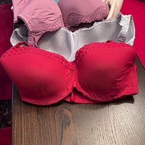 Le Mystere Scarlet Lace Strapless Bra